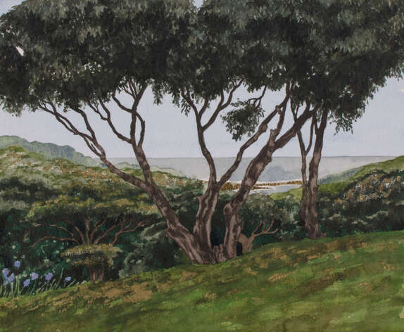 South African Trees