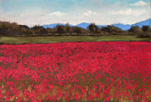 Poppy Field